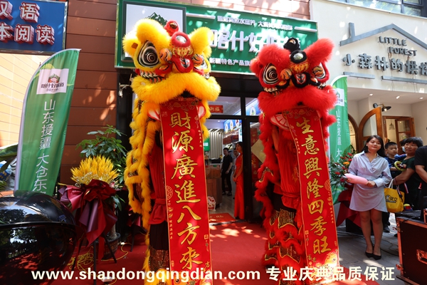濟南疆山商貿(mào)龍湖開業(yè)儀式